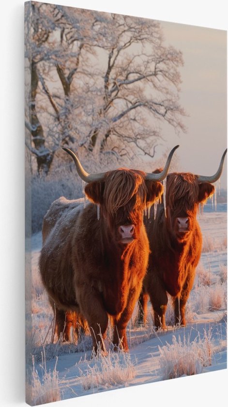 Saammp Canvas Schilderij - Schotse hooglander koeien met bevroren hoorns - Dieren - 20x30 - Foto op canvas - Wanddecoratie - Muurdecoratie Woonkamer - Slaapkamer decoratie - Canvas Print