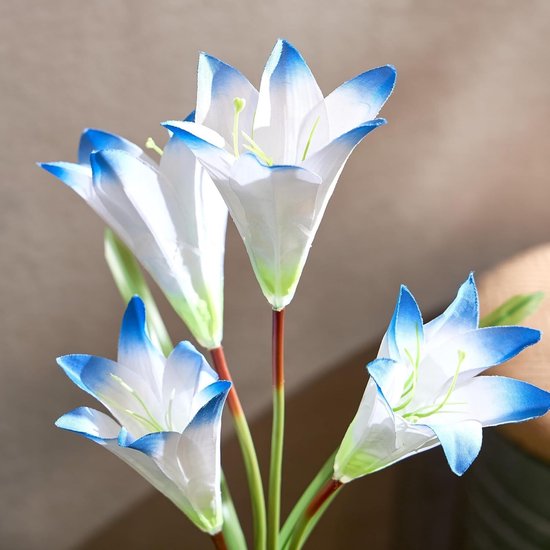 Vixson - Éclairage Solar de jardin - Lampe à Bloem - Lampe à fleurs - Éclairage d'ambiance extérieur - Éclairage extérieur à Énergie solaire - Blauw - BLOSSUN