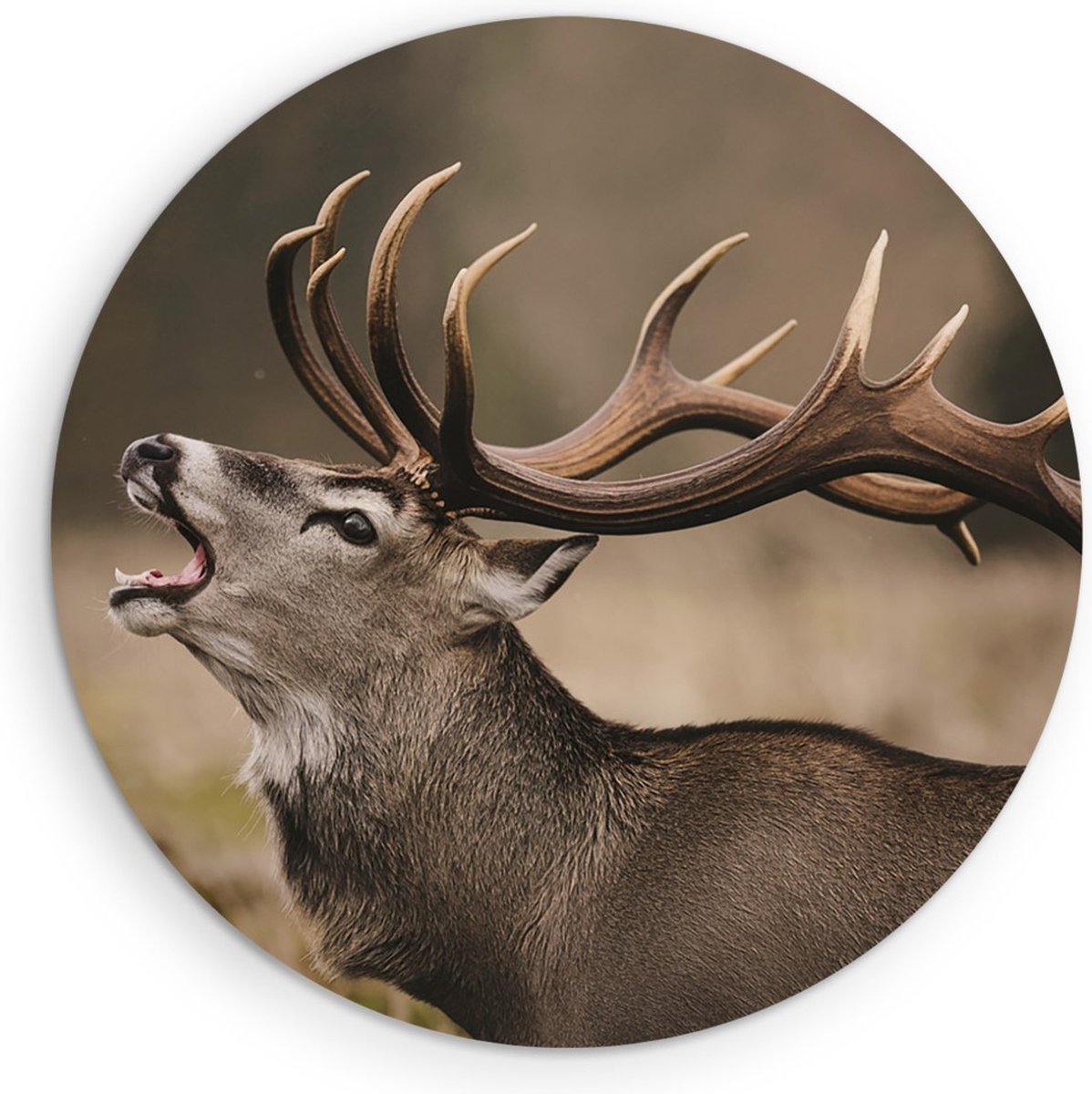 Saammp Muurcirkel Hout - Schreeuwend Hert met groot gewei - Natuur - Dieren - Ø 70 - Wandcirkel - Wanddecoratie Cirkel - Muurdecoratie Woonkamer - Slaapkamer decoratie - Rond Schilderij