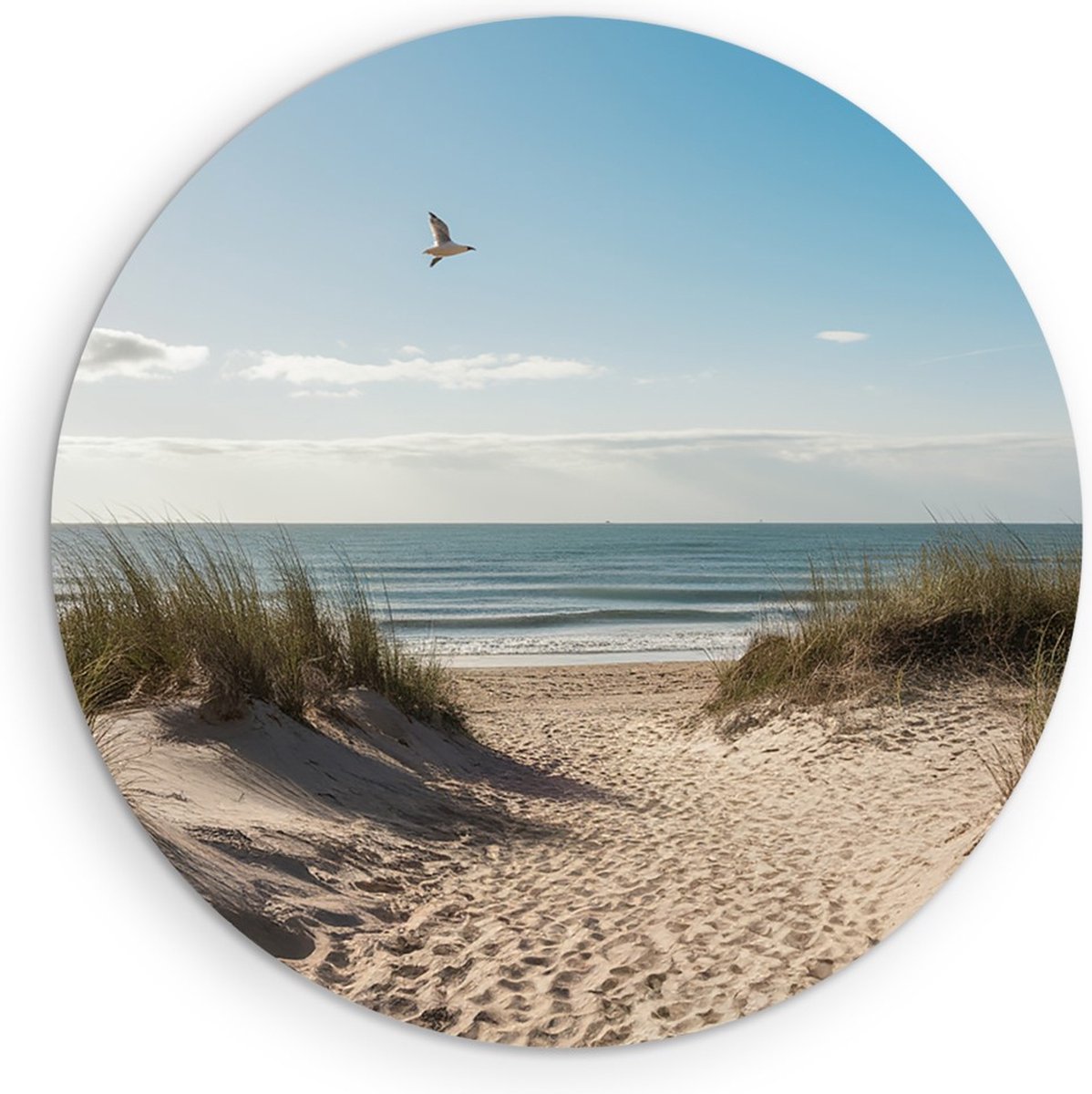 Saammp Forex Muurcirkel - Strand En Zee - Vogel - Pad Vanuit de duinen - Ø 30 - Wandcirkel - Wanddecoratie Cirkel - muurdecoratie Woonkamer - Slaapkamer decoratie - Rond Schilderij