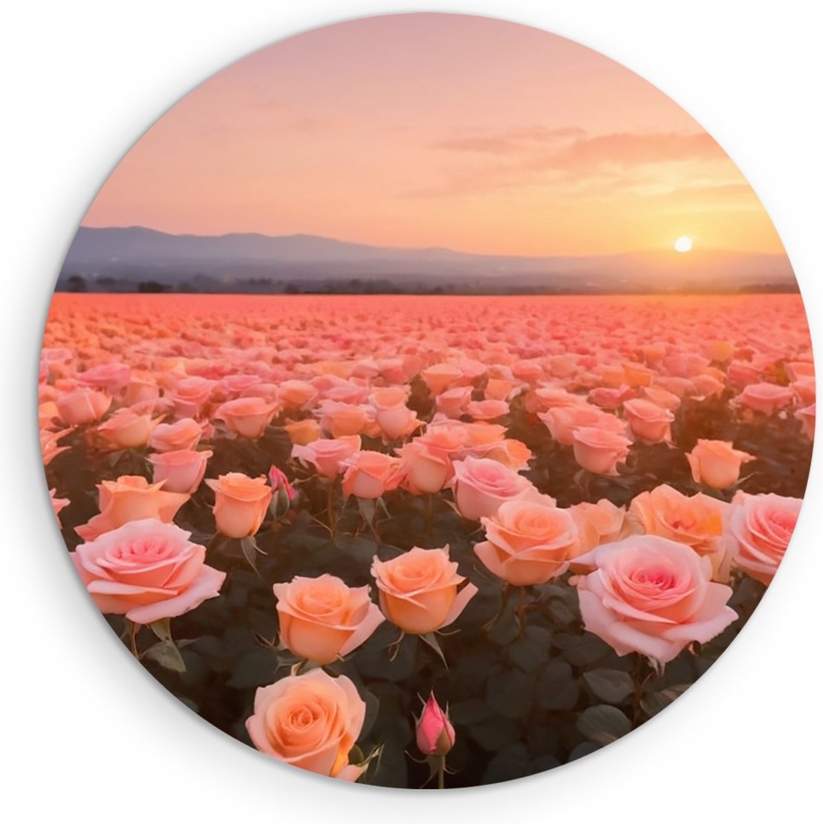 Saammp Forex Muurcirkel - Landschap - Roze Bloemenveld - Natuur - Ø 60 - Wandcirkel - Wanddecoratie Cirkel - Muurdecoratie Woonkamer - Slaapkamer decoratie - Rond Schilderij