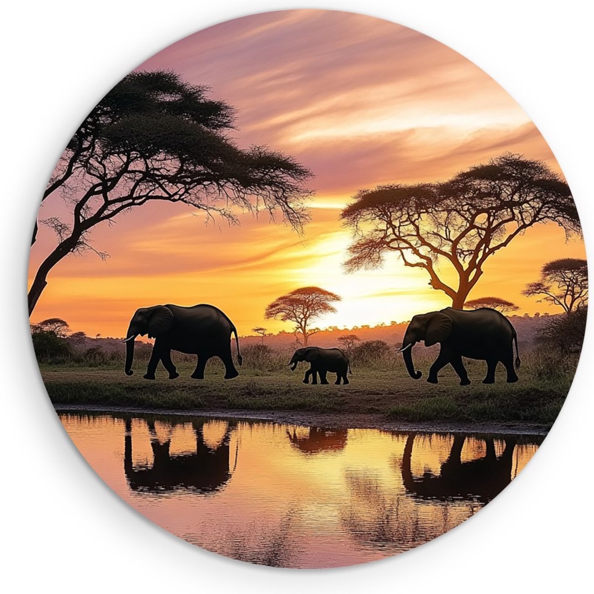 Saammp Forex Muurcirkel - Olifanten familie met kalf - Zonsondergang - Dieren - Ø 30 - Wandcirkel - Wanddecoratie Cirkel - muurdecoratie Woonkamer - Slaapkamer decoratie - Rond Schilderij