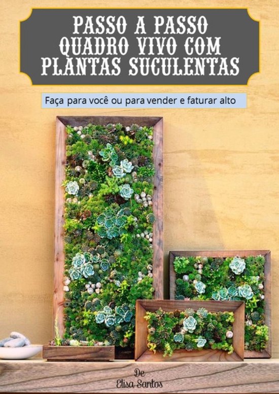 Passo A Passo Quadro Vivo Com Suculentas - cover