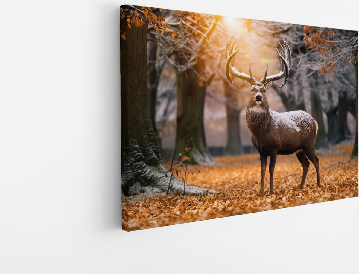Saammp Canvas Schilderij - hert in zonsopgang met sneeuw op zich - Natuur - Dieren - 50x40 - Foto op canvas - Wanddecoratie - Muurdecoratie Woonkamer - Slaapkamer decoratie - Canvas Print Multicolor