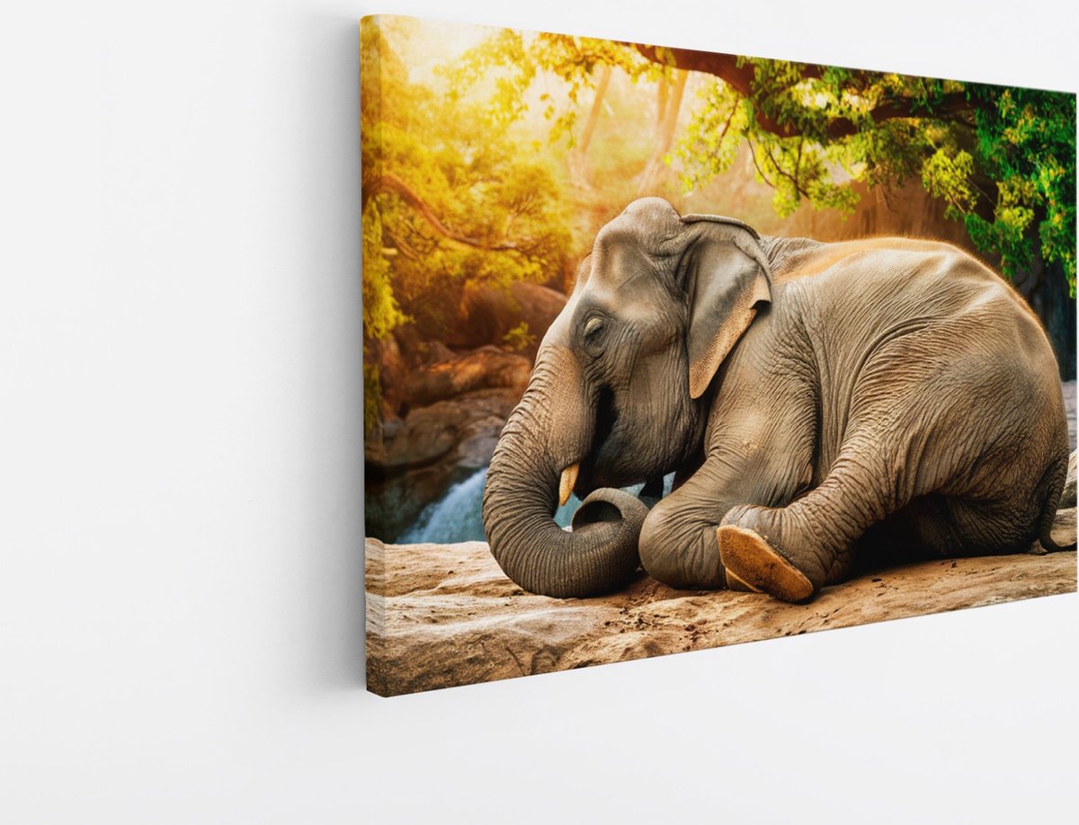Saammp Canvas Schilderij - Olifan op steen - Afrika - Dieren - 100x75 - Foto op canvas - Wanddecoratie - muurdecoratie Woonkamer - Slaapkamer decoratie - Canvas Print Multicolor