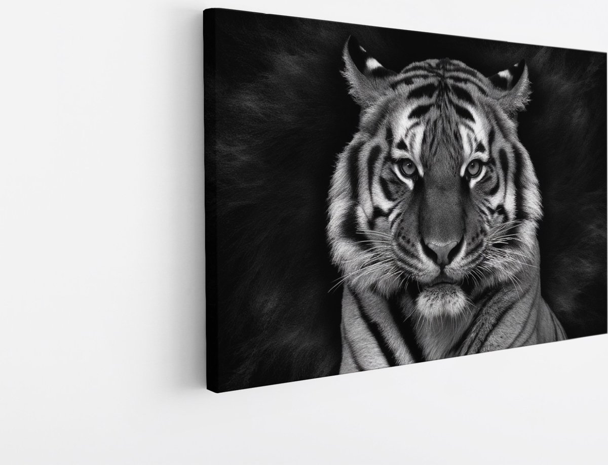 Saammp Canvas Schilderij - Tijger Portret - Abstract - Dieren - 60x40 - Foto op canvas - Wanddecoratie - muurdecoratie Woonkamer - Slaapkamer decoratie - Canvas Print Multicolor