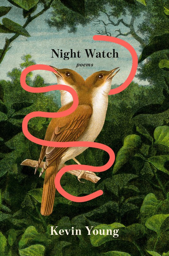 Boek 'Night Watch' van Kevin Young met een illustratie van twee bruine vogels op een tak, omringd door groen gebladerte en een rode lijn.