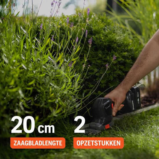 DUM604ZX - LXT 18 V accu Grasschaar en Buxusschaar