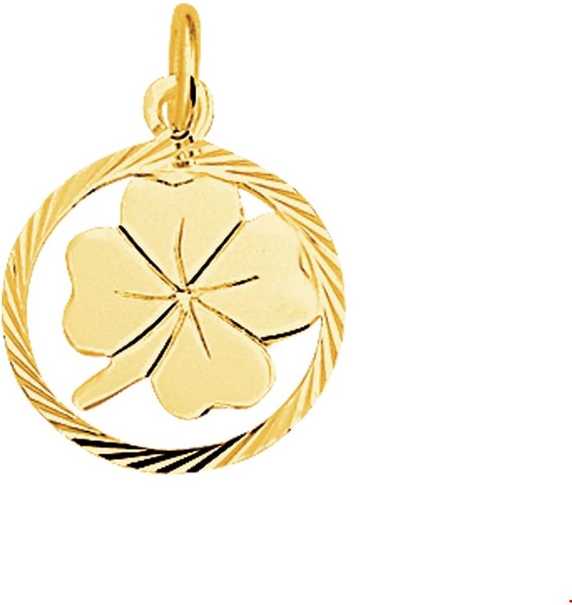 Trendjuwelier huiscollectie 4005616 Gouden bedel klaver