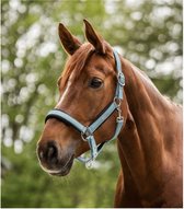 Waldhausen Halter Mesh Korenblauw - Paardenhalster - Cob