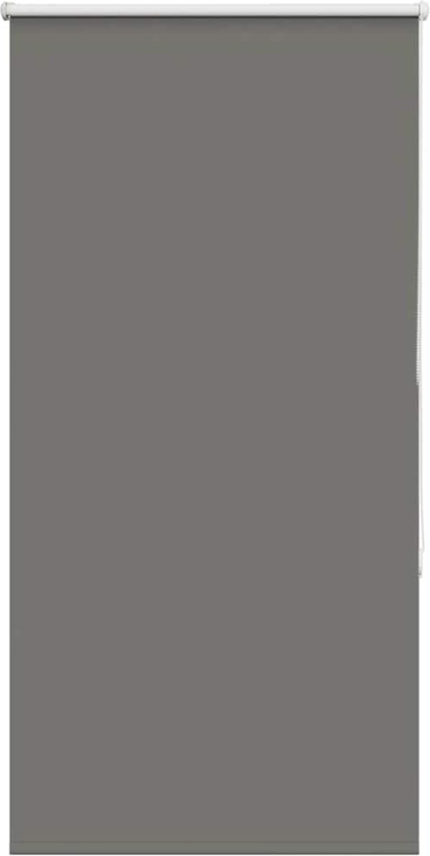 vidaXL - Rolgordijn - verduisterend - 75x150cm - stofbreedte - 70,7 - cm - polyester