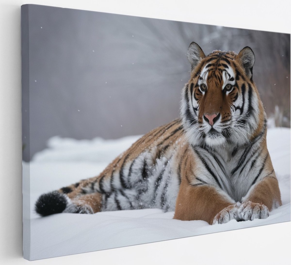 Saammp Canvas Schilderij - Tijger in de sneeuw - Natuur - Dieren - 30x20 - Foto op canvas - Wanddecoratie - muurdecoratie Woonkamer - Slaapkamer decoratie - Canvas Print Multicolor