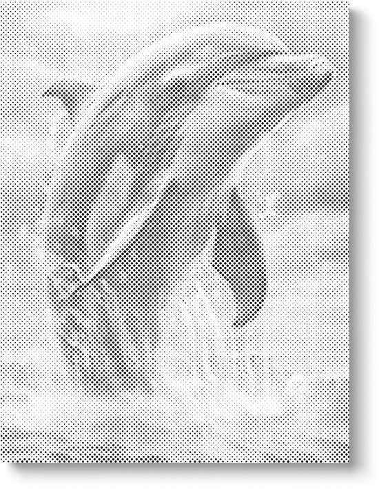 Dauphin sautant | Peinture par points | 30x40cm | Toile lâche | Peinture au Diamond et Peinture par numéro alternative | Peinture en pointillé | Cadeau