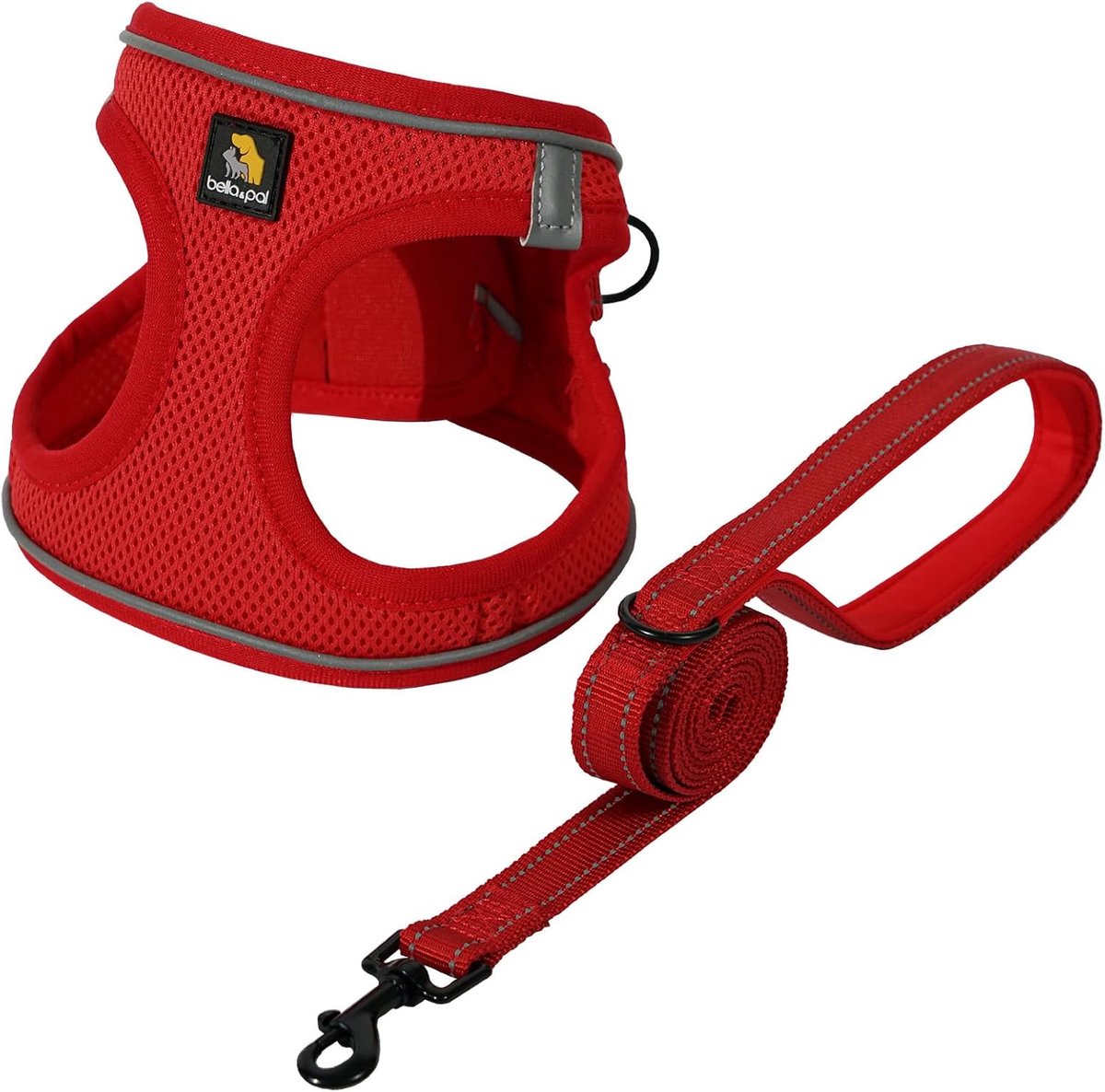 Hondentuigje voor kleine honden met riem, step-in tuigje van Air Mesh, anti-trek, reflecterend, ademende borstharnas, puppyharnas voor kleine honden, kattenharnas, rood, XS