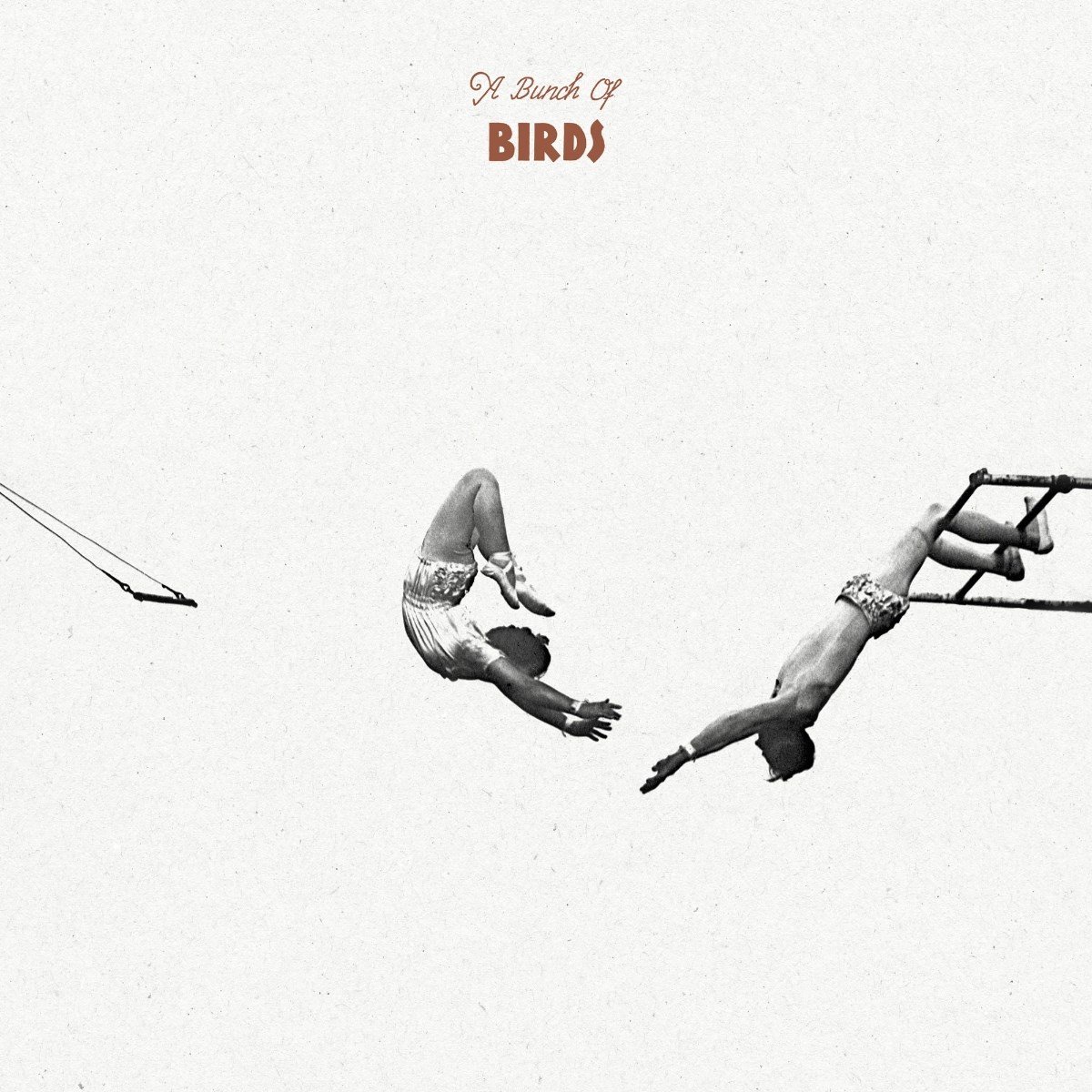 A Bunch Of Birds - A Bunch Of Birds (LP)