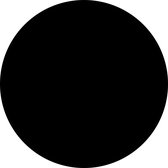 Blanco muurcirkel zwart 2 stuks 20 cm / Forex