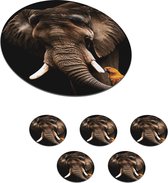 Sous-verres pour verres - Ronds - Éléphant - Perroquet - Dents - 10x10 cm - Sous-verres en verre - 6 pièces