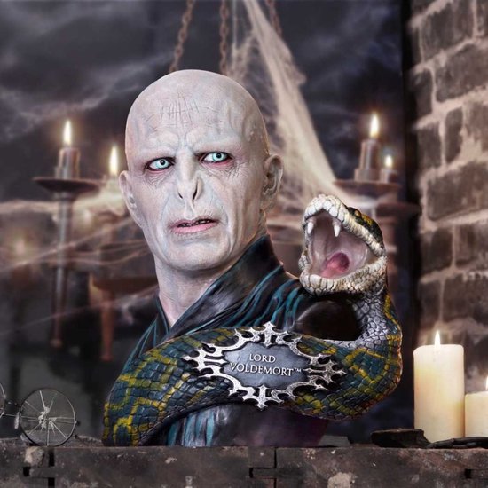 Buste van Lord Voldemort met slang in een decor. Lord Voldemort is bleek met blauwe ogen. De slang heeft schubben in groen en geel.