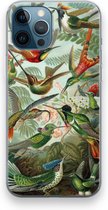 Case Company® - iPhone 12 Pro hoesje - Haeckel Trochilidae - Soft Case / Cover - Bescherming aan alle Kanten - Zijkanten Transparant - Bescherming Over de Schermrand - Back Cover