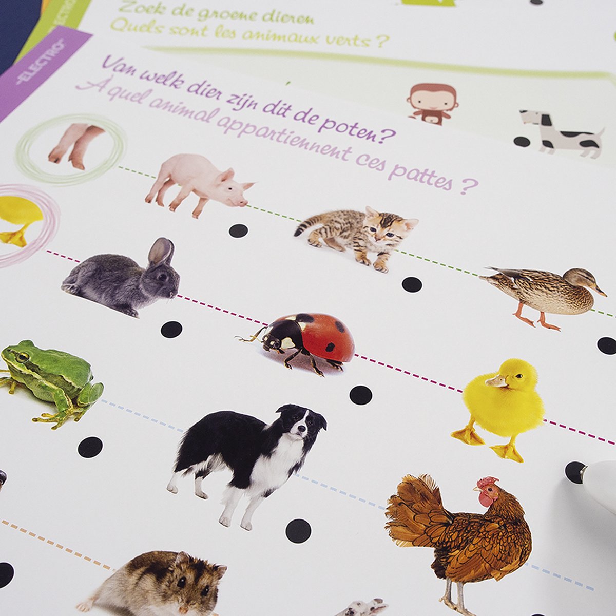 Jumbo - Electro Wonderpen - Ontdek De Dieren - Educatief spel — afbeelding 7