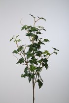Kunsttak- Lace ivy - topkwaliteit decoratie - 2 stuks - zijden tak - Groen - 63 cm hoog