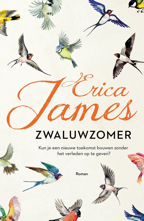 Zwaluwzomer - cover
