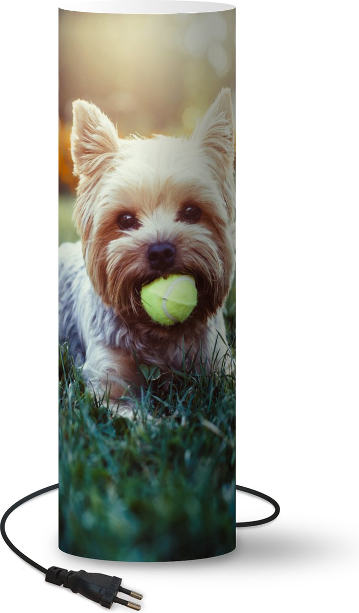 Lamp - Nachtlampje - Tafellamp slaapkamer - Yorkshire Terrier ligt op het gras met een tennisbal in zijn mond - 70 cm hoog - Ø22.3 cm - Inclusief LED lamp