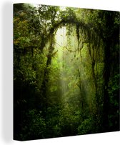 Image aux tons verts de la forêt tropicale du Costa Rica Toile 90x90 cm - Tirage photo sur toile (Décoration murale salon / chambre) / Arbres Peintures sur toile