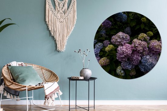 WallCircle - Cercle mural - Cercle mural - Arbustes fleuris d'hortensias au jardin - Aluminium - Dibond - 140x140 cm - Intérieur et extérieur