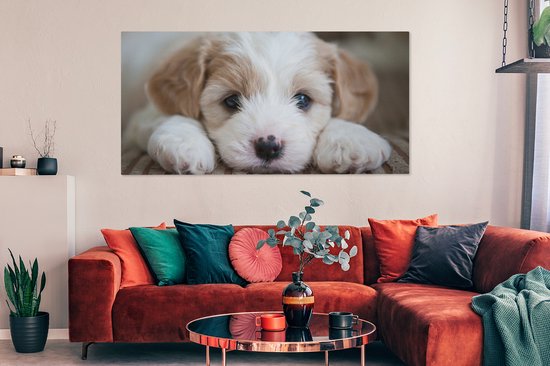 Tableau sur toile Gros plan d'un chiot Cavachon - 160x80 cm - Décoration murale