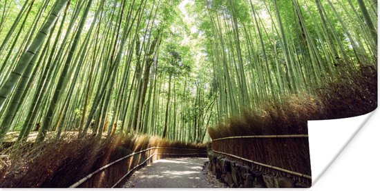 Poster Bamboebosje in Arashiyama Japan - 40x20 cm