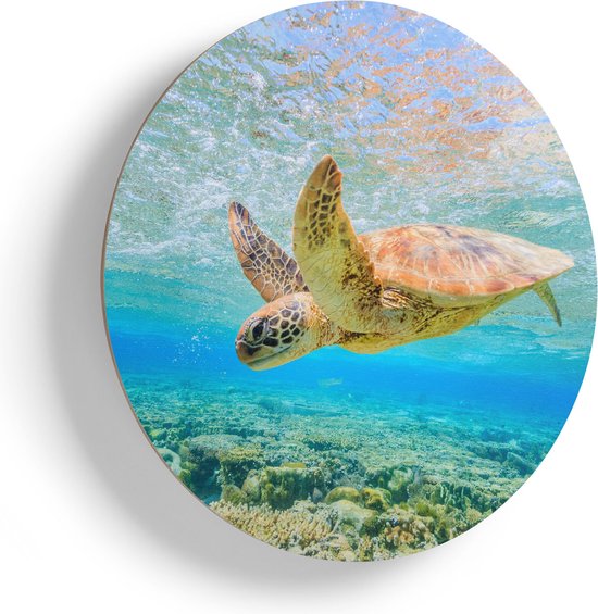 Artaza Houten Muurcirkel - Schildpad Zwemt in de Zee bij het Rif - Ø 80 cm - Groot - Multiplex Wandcirkel - Rond Schilderij