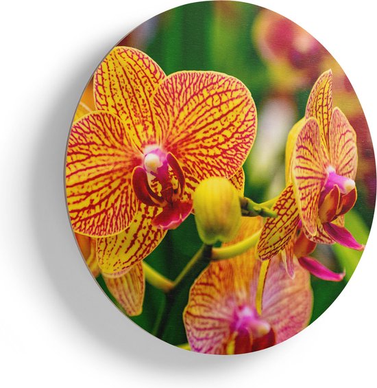 Artaza Houten Muurcirkel - Geel Rode Orchidee Bloemen - Ø 40 cm - Klein - Multiplex Wandcirkel - Rond Schilderij