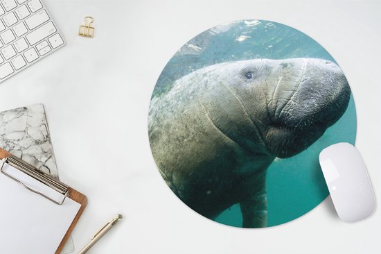 Muismat rond 30x30 cm - Mousepad Dieren - Water - Camera - Ronde muismatten