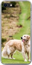 Geschikt voor iPhone SE 2020 hoesje - Prachtige afbeelding van een Golden Retriever - Siliconen Telefoonhoesje