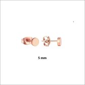 Aramat jewels ® - Oorbellen 5mm rosékleurig zweerknopjes rond chirurgisch staal