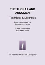 The Thorax & Abdomen