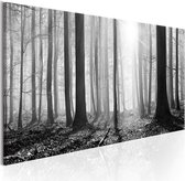 Schilderij - Black and White Forest.