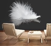 Fotobehang - White feather.