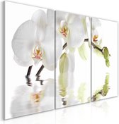 Schilderij - Wonderful Orchid (3 Parts).