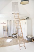 Boomstam wandplank onbehandeld
