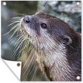 Tuin poster Close-up van Europese otter - 200x200 cm - Tuindoek - Buitenposter