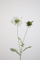 Kunstbloem - Scabiosa - duifkruid - topkwaliteit decoratie - 2 stuks - zijden bloem - wit - 71 cm hoog