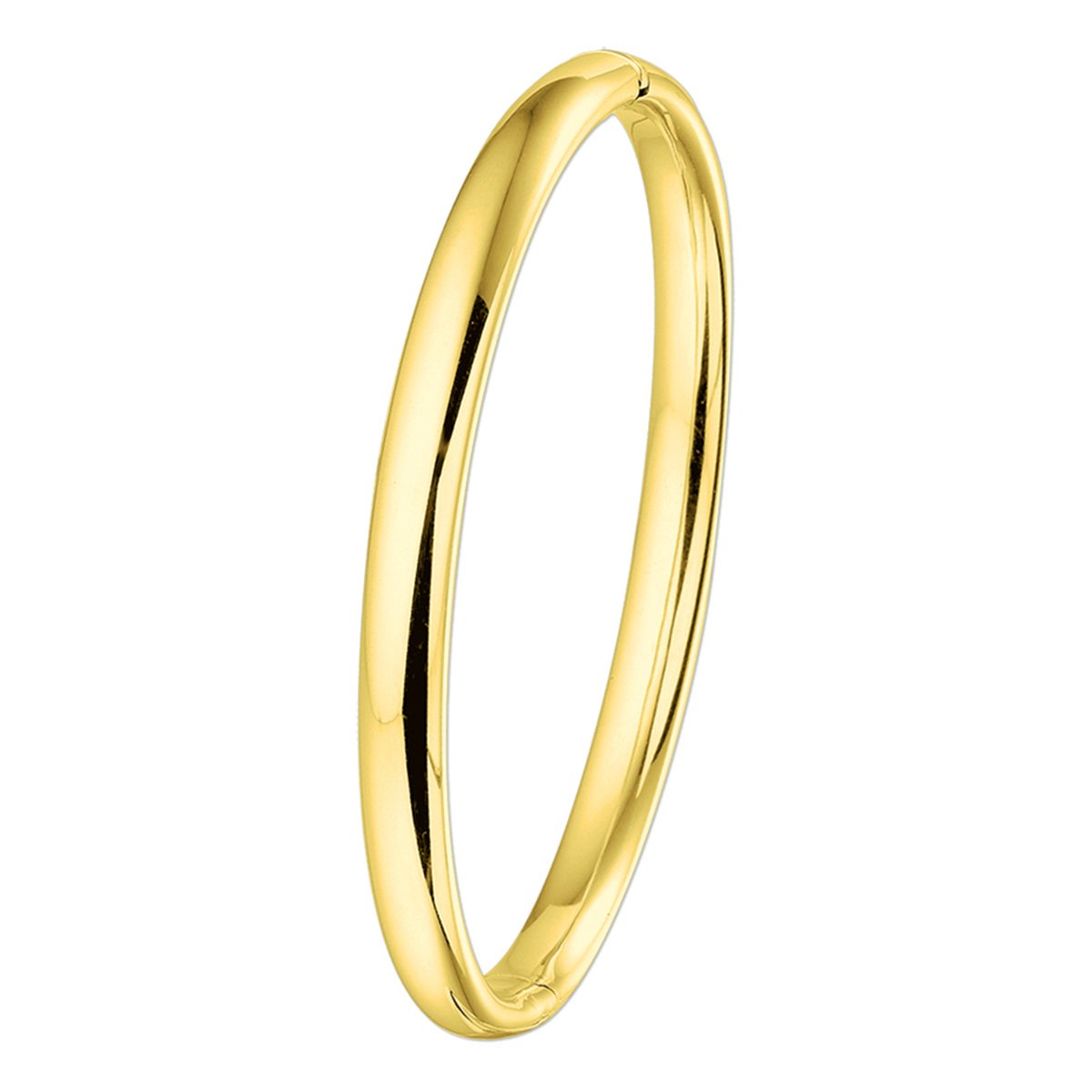 Bangle Scharnier Ovale Buis 6 X 60 Mm