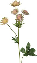 Viv! Home Luxuries Astrantia - kunstbloem - 64cm - roze groen - topkwaliteit