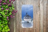 Tuinposter Aanzwemmende haai - 40x80 cm - Wanddecoratie Buiten - Tuinposter - Tuindoek - Schuttingposter - Tuinschilderij