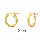Aramat jewels ® - Bewerkte oorringetjes luik goudkleurig 10mm chirurgisch staal