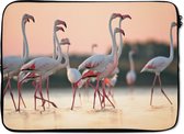 Laptophoes 14 inch - Groep flamingo's bij zonsondergang in Italië - Laptop sleeve - Binnenmaat 34x23,5 cm - Zwarte achterkant