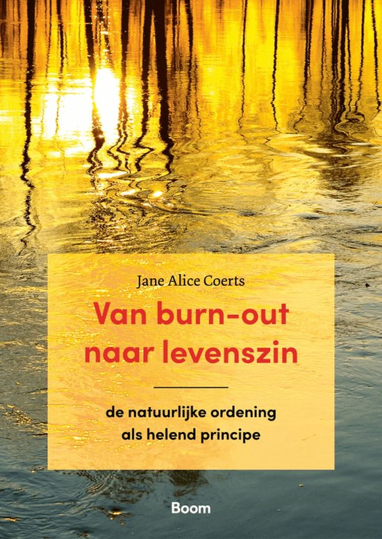Van burn-out naar levenszin - cover