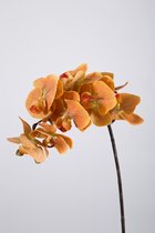 Kunstbloem - set van 2  - Autumn Phalaenopsis orchidee - decoratieve tak -  70 cm - geel